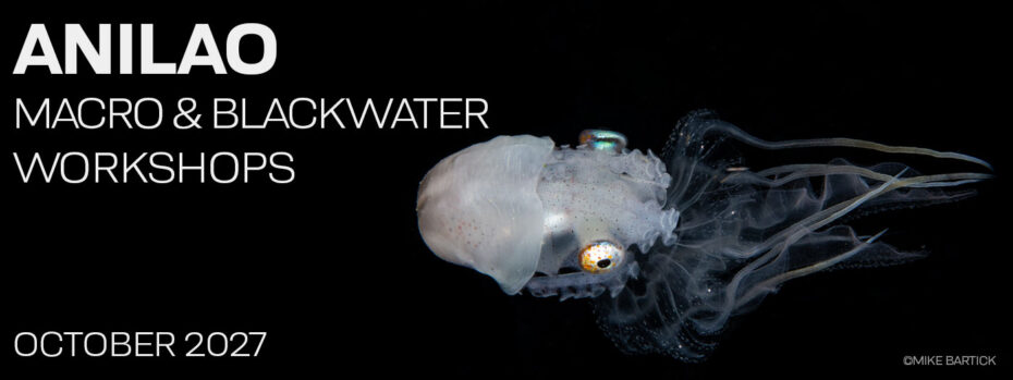 Macro & Blackwater Underwater Photography Workshops – Crystal Blue Resort – Anilao Philippines – October 4-14, 2027
