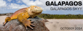 GALAPAGOS ISLANDS – GALAPAGOS SKY - OCTOBER 6-13 & 13-23, 2024
