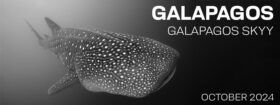 GALAPAGOS ISLANDS – GALAPAGOS SKY - OCTOBER 6-13 & 13-23, 2024
