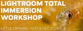 Lightroom Total Immersion Workshop -Nov 29-Dec 6 & Dec 6-13, 2025