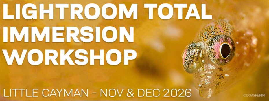 Lightroom Total Immersion Workshop - Nov 28-Dec 5 & Dec 5-12, 2026