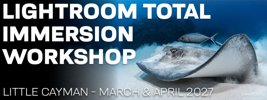 Lightroom Total Immersion Workshop - March 20-27 & March 27-April 3, 2027
