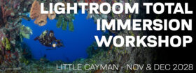 Lightroom Total Immersion Workshop - Nov 25-Dec 2 & Dec 2-9, 2028
