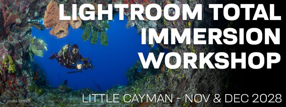 Lightroom Total Immersion Workshop - Nov 25-Dec 2 & Dec 2-9, 2028
