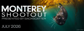 Join Us For the Monterey Shootout - July 24-26, 2026
