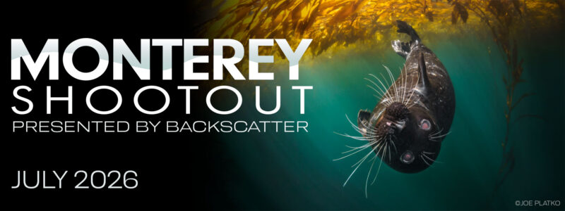 Join Us For the Monterey Shootout - July 24-26, 2026
