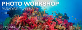 Underwater Photography Workshop - Paradise Taveuni - Fiji - September 14-24, 2027
