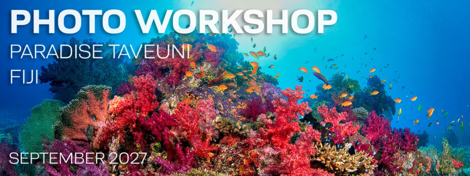 Underwater Photography Workshop - Paradise Taveuni - Fiji - September 14-24, 2027
