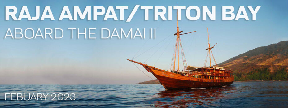 Raja Ampat / Triton Bay, Indonesia – Dive Damai II - Feb 4-18, 2023