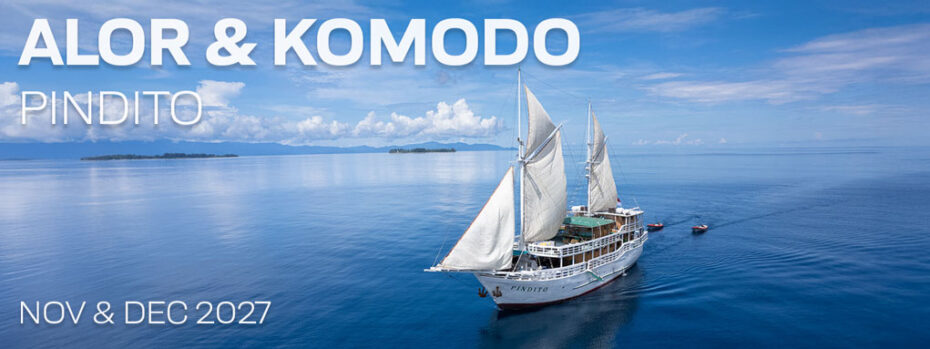 Alor & Komodo Indonesia – Pindito November 28 – December 8 & December 10-20, 2027
