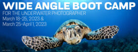Wide Angle Underwater Photography Boot Camp - Little Cayman - March 18-25 & March 25-April 1, 2023