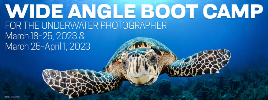 Wide Angle Underwater Photography Boot Camp - Little Cayman - March 18-25 & March 25-April 1, 2023